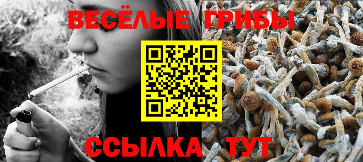Псилоцибиновые грибы MAGIC MUSHROOMS  Вход с VPN  Горячий Ключ 