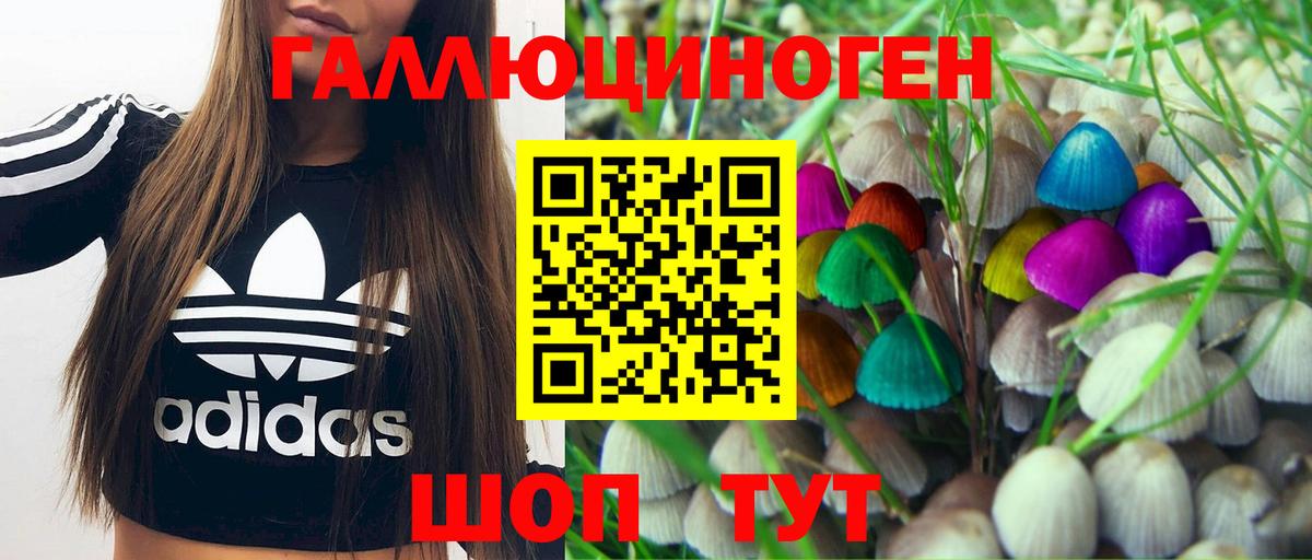 Галлюциногенные грибы MAGIC MUSHROOMS Горячий Ключ